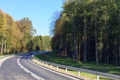 IMG_4276.JPG