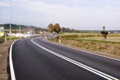 DSCF7010.jpg