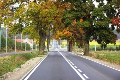 DSCF7009.jpg