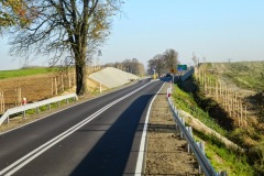 DSCN1984.jpg