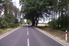 527-1.JPG
