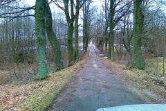 DSCF6119.jpg