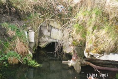 545-2.jpg