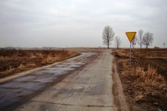 541-2.JPG